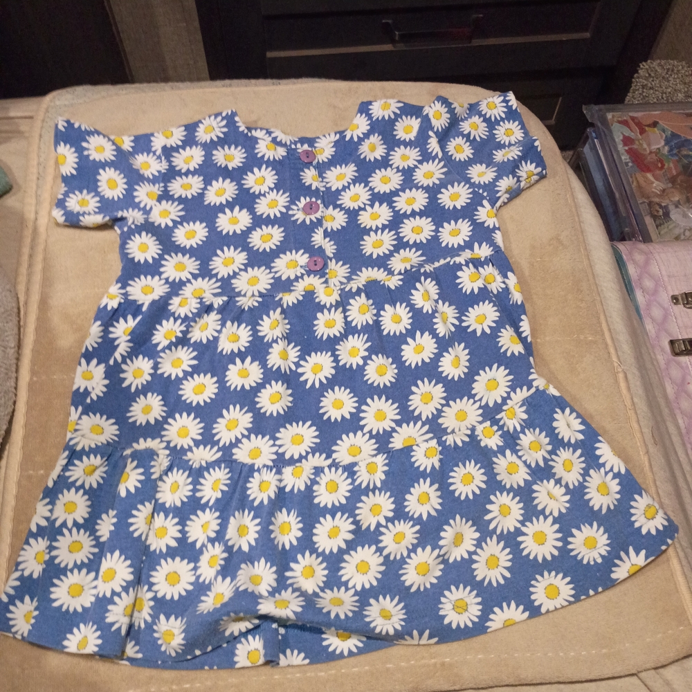 Circo Blue Daisy Button-Front Dress
